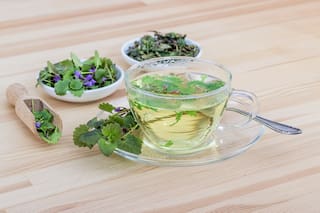 Es "prima" de la menta, tiene un aroma exquisito y es ideal para combatir el insomnio