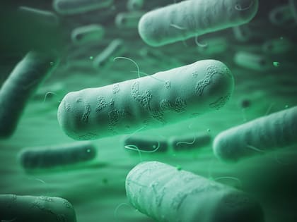 La meningitis es una inflamación de las membranas que protegen el cerebro y la médula espinal y, cuando es de origen bacteriano, puede provocar complicaciones graves