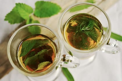 La menta es comúnmente consumida mediante infusiones