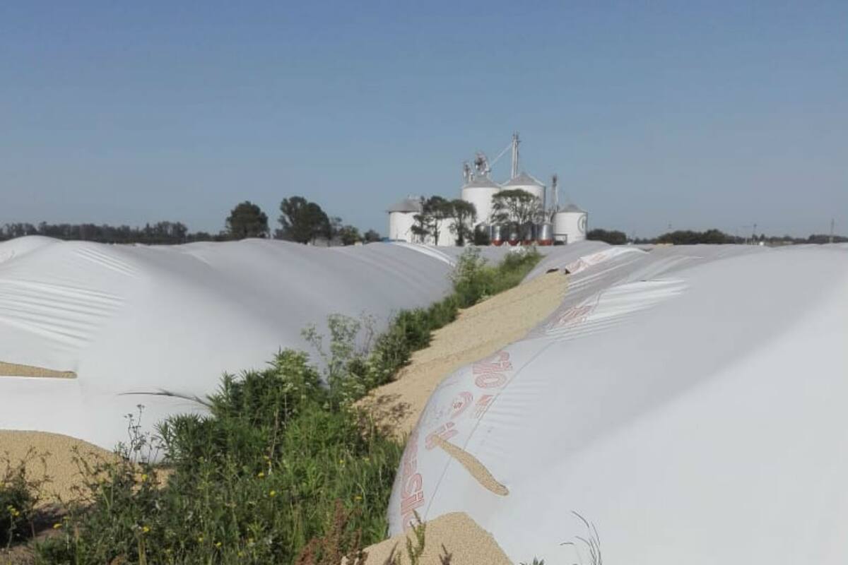 La mercadería en la planta de acopio fue recuperada y enviada a puerto