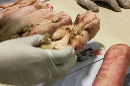 La mercadería se decomisó y destruyó