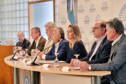 La Mesa de Enlace durante la reunión con el interbloque de Juntos por el Cambio del Senado: en la foto, Laucirica, Pino, Cornejo, Losada, Chemes y Achetoni