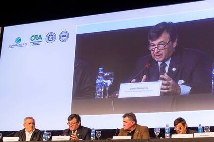 La Mesa de Enlace en la 133° Exposición Rural de Palermo