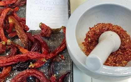La metodología empleada permitió obtener “oleorresina con un buen porcentaje de extracción del 22,8%, lo que demuestra que con etanol se puede lograr mayor cantidad y calidad de este producto”