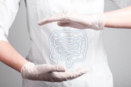 La microbiota intestinal son microorganismos en el intestino que influyen en la salud