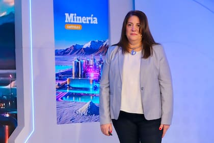 "La minería argentina entró en una “etapa de ejecución, no de expectativa”, dijo Izquierdo