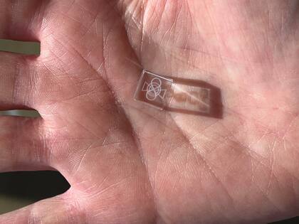 La miniatura del artista Eduardo Kac, en la palma de su mano