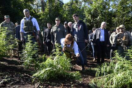 La ministra Bullrich como un gesto simbólico cortó una planta