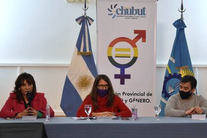 La ministra de las Mujeres, Géneros y Diversidad, Elizabeth Gómez Alcorta, pidió una transformación del Poder Judicial tras el dictamente del fiscal Fernando Rivarola que comparó una violación en grupo con un "doloso desahogo sexual"