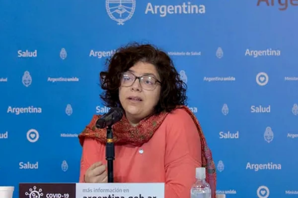 La ministra de Salud, Carla Vizzotti, reflotó la idea de una reforma del sistema de salud