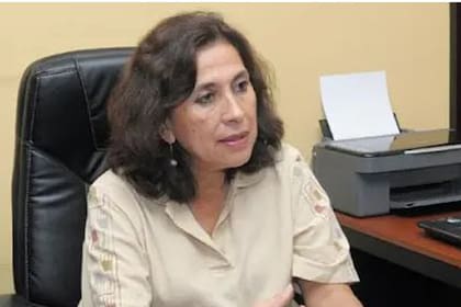 La Ministra de Salud provincial, Natividad Nassif, aseguro que la madre de la menor "se negó al aborto y que ella criará al bebé"