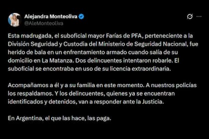 La ministra de Seguridad, Alejandra Monteoliva, habló sobre el intento de robo que sufrió uno de sus custodios en La Matanza