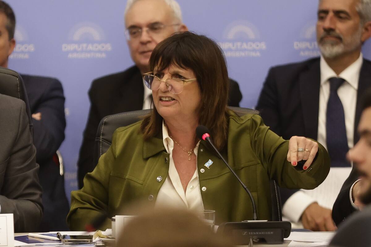 La ministra de Seguridad, Patricia Bullrich, en una visita a la Cámara de Diputados