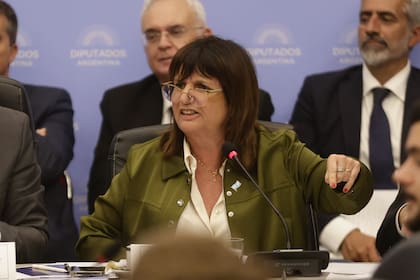 La ministra de seguridad Patricia Bullrich se peleó con el diputado Moreau en la Comisión de presupuesto y hacienda.