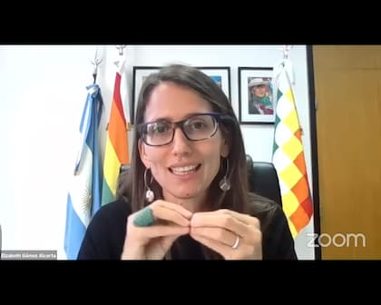 La ministra Gómenz Alcorta en el conversatorio sobre género y Justicia