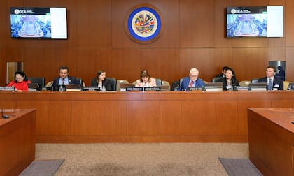 La ministra Patricia Bullrich, durante la reunión sobre delito transnacional que se desarrolló en la OEA