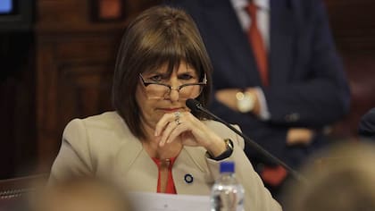 La ministra Patricia Bullrich sobre el caso de Santiago Maldonado, en la comisión de Seguridad Interior y Narcotráfico