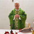 El papa León XIV aparecerá en el Ángelus del domingo y difunden sus primeras fotos tras la operación