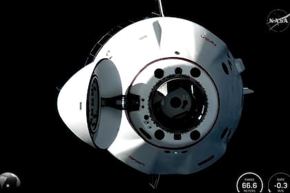 La misión Fram2 despegó el 31 de marzo de 2025 a bordo de una cápsula Crew Dragon de SpaceX (Foto: NASA)