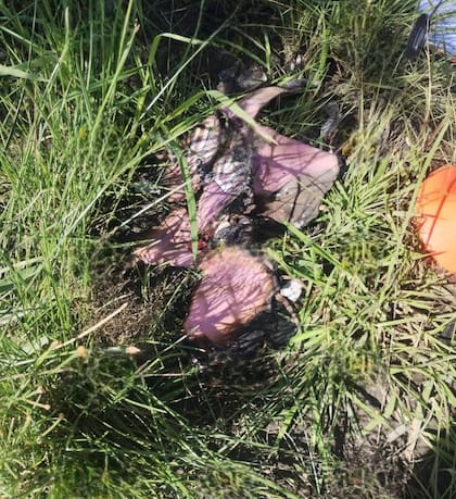 La mochila y valija calcinadas que se encontraron en el barrio Emerenciano Sena y podría pertenecer a Cecilia