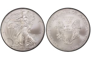 La moneda Silver Eagle de 2008 tiene una figura de la Estatua de la Libertad en su anverso y la imagen del águila heráldica en su reverso