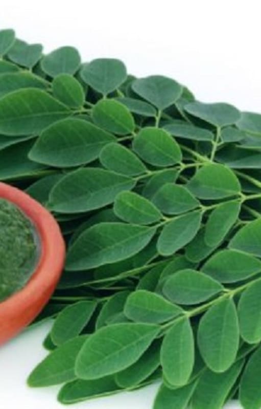 La moringa tiene propiedades antiinflamatorias y antibióticas y dicen que sirve para curar hasta 300 enfermedades.
