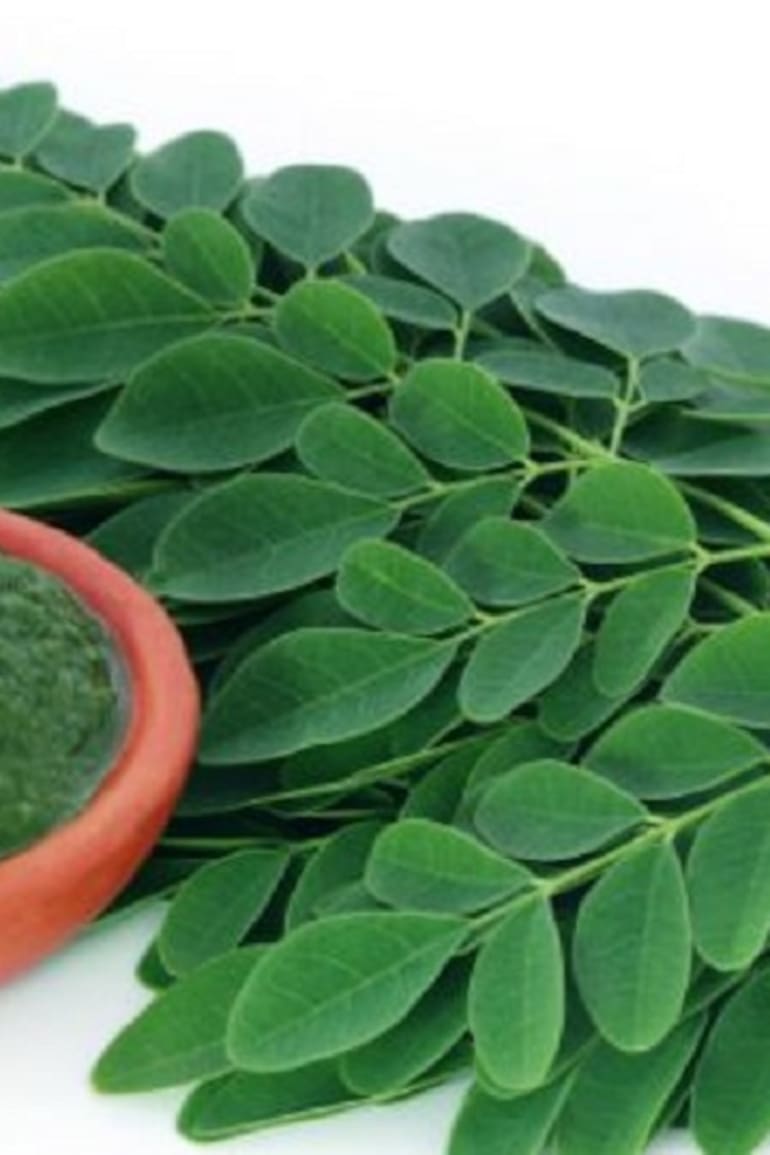 La moringa tiene propiedades antiinflamatorias y antibióticas y dicen que sirve para curar hasta 300 enfermedades.