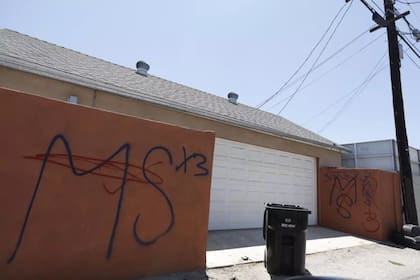 La MS-13 de migrantes salvadoreños opera en todo Estados Unidos