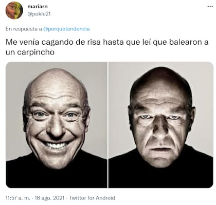La muerte a tiros de un carpincho por un vecino de Nordelta generó indignación entre los usuarios. Fuente: Twitter.