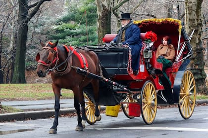 La muerte renovó reclamos para prohibir los carruajes con caballos en Central Park