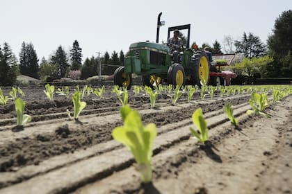 La muerte se produjo en el estado de California; hay 121 personas infectadas en 25 estados