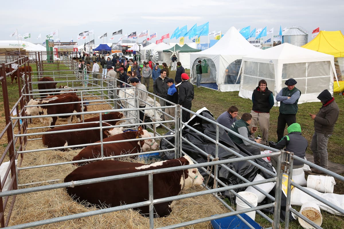 La muestra, centro de atención para la ganadería
