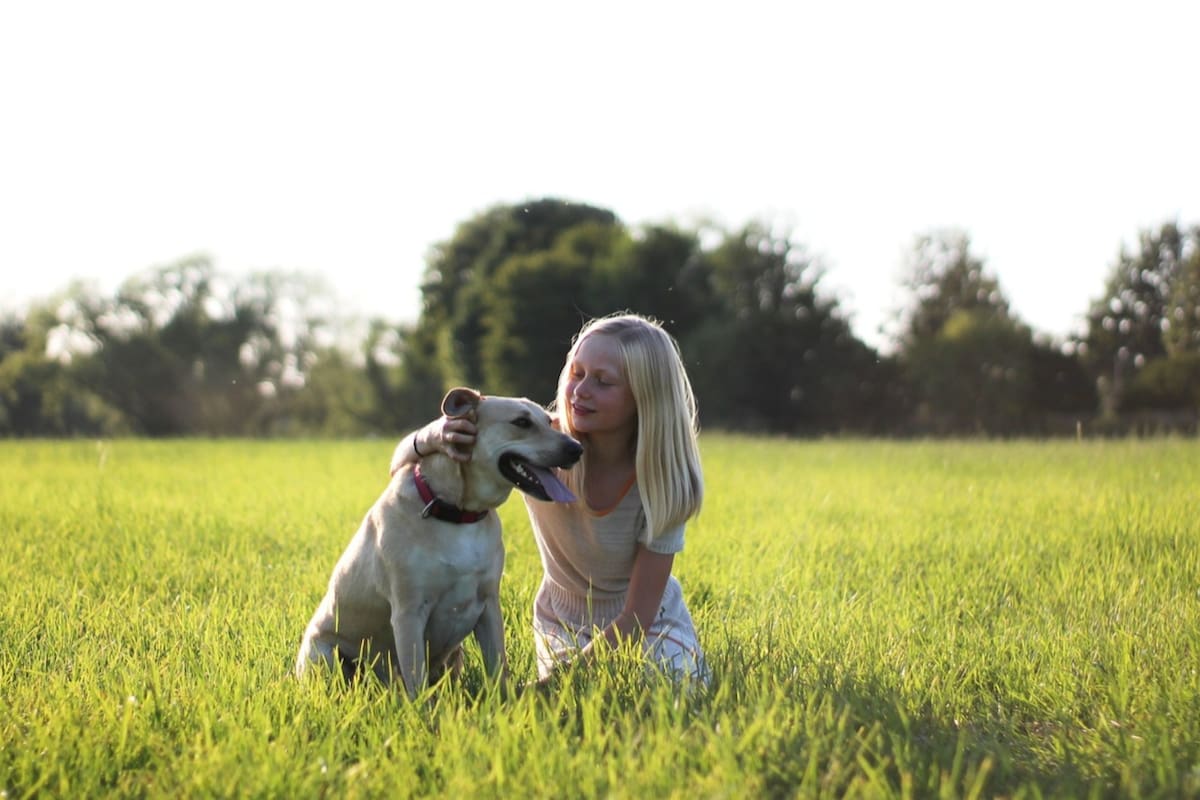 La muestra de cariño que a los perros en realidad tanto no les gustaría