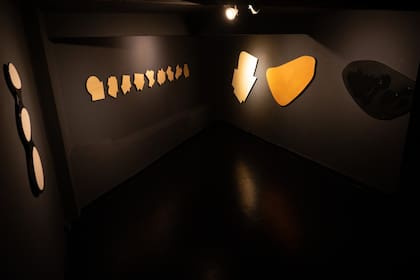La muestra fue concebida como una instalación que toma toda la galería