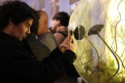 La muestra "Habitar" abre hoy al público en el Museo Nacional de Bellas Artes