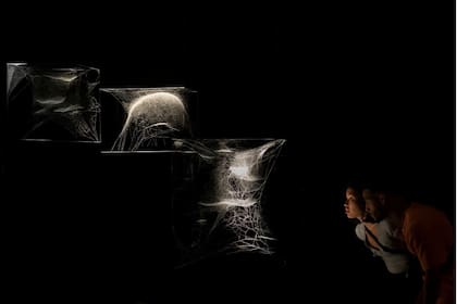 La muestra incluirá sus trabajos en colaboración con arañas, como los exhibidos en el Palais de Tokyo en 2018
