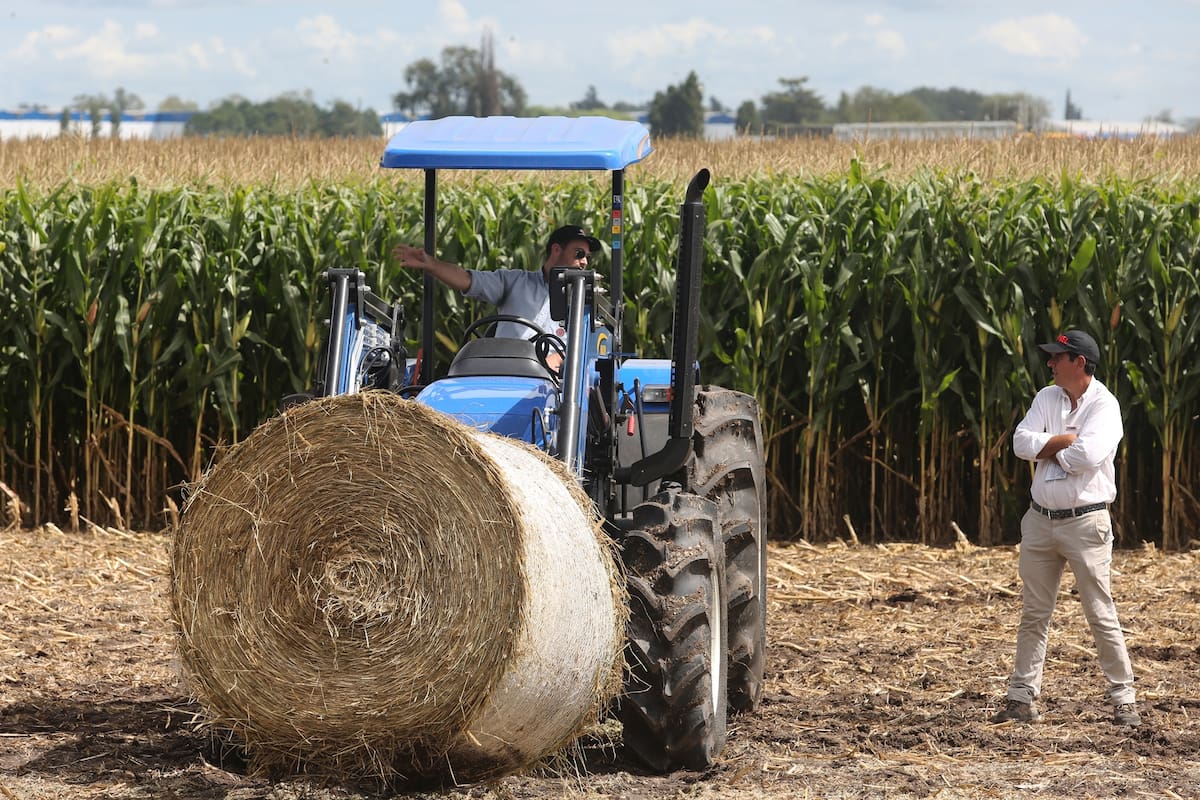 La muestra volvió a destacar su perfil tecnológico con novedades y servicios para el sector
