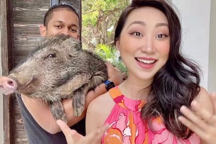 La mujer adoptó a un jabalí que pesaba solo 900 gramos; un año después, el animal alcanzó los 28 kilos