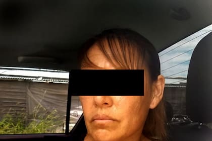 La mujer de 45 años fue detenida en la localidad de Etcheverry, partido de La Plata