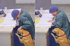 “Quise encontrarle un hogar a mi perro porque me voy a un geriátrico”: el desgarrador video de la despedida de una abuela y su mascota