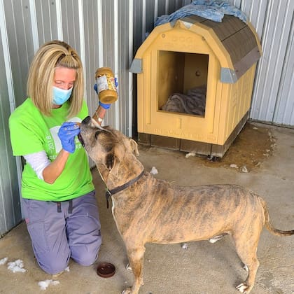 La mujer decidió que se mudaría al refugio de mascotas con Drools para visibilizar su caso (Facebook)
