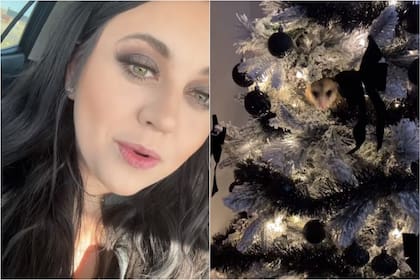 La mujer descubrió al interior de su árbol de Navidad a un animal que la dejó en shock
