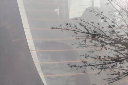 La mujer dice que Jesús se le apareció en la luneta de su auto (Foto: Facebook.com/belenflorencia.sbarbati)