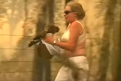 La mujer entró a un bosque en llamas, se sacó su blusa y enrolló a un koala para salvarlo de morir quemado