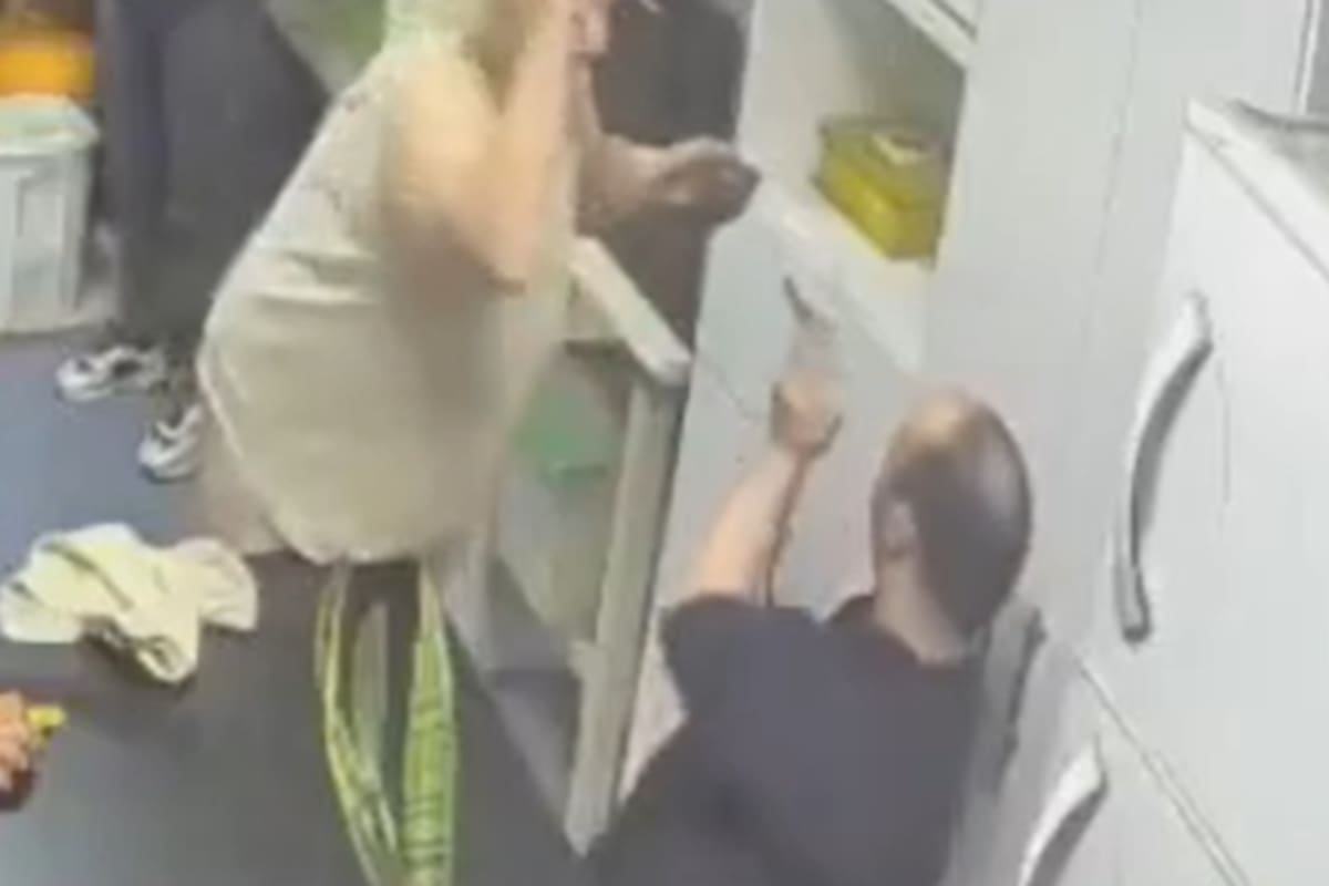La mujer fue captada por cámaras instaladas dentro del hogar