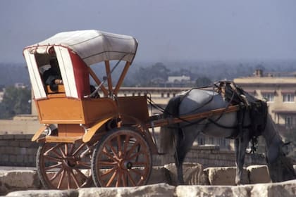 La mujer fue estafada por 4500 dólares (Foto ilustrativa Pexels )