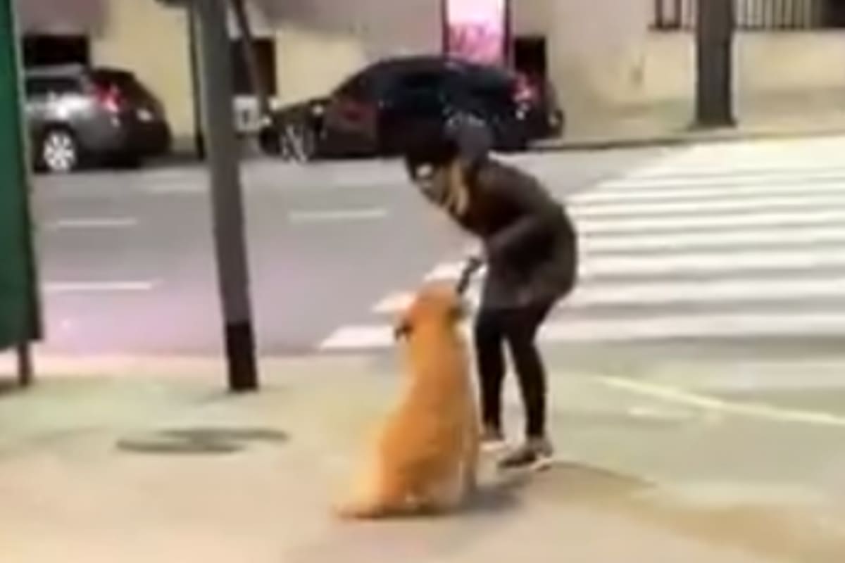 La mujer fue grabada mientras agredía al aniimal en la esquina de Callao y Alvear