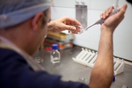 La mujer había dicho que su esposo fallecido había dado consentimiento en vida para realizar la fertilización en cualquier momento