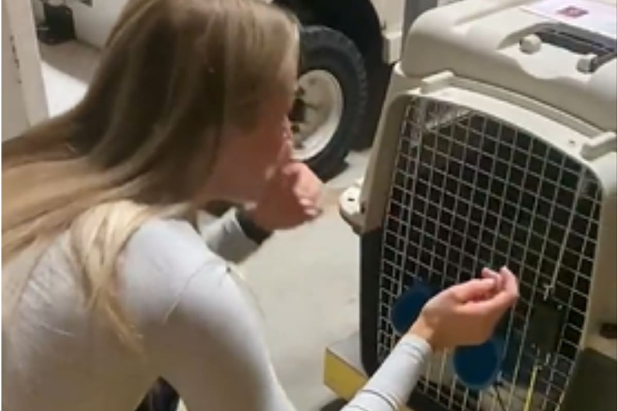 La mujer no pudo contener el llanto cuando vio a su mascota (Foto: Captura de video)