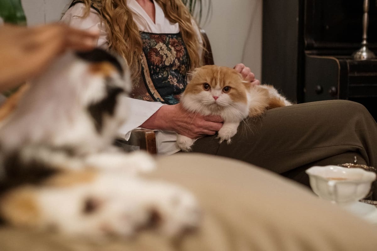 La mujer no pudo disimular su alegría (Foto ilustrativa: PEXELS)